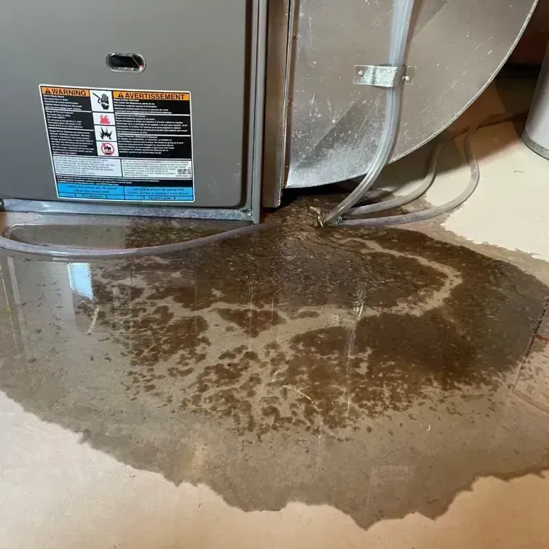 Appliance Leak Cleanup in Clay, KY